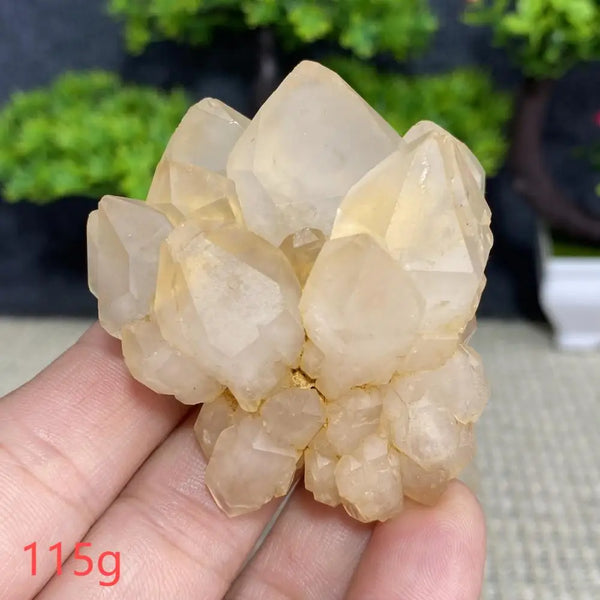 White Quartz Crystal Cluster-ToShay.org
