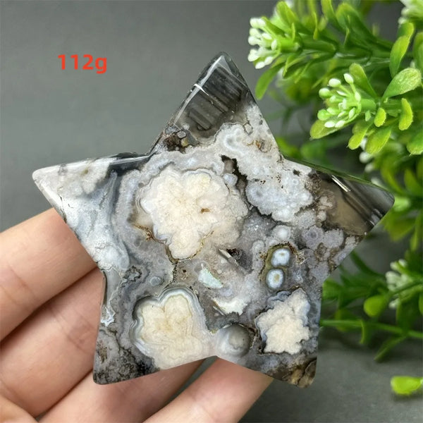 Black Cherry Blossom Agate-ToShay.org
