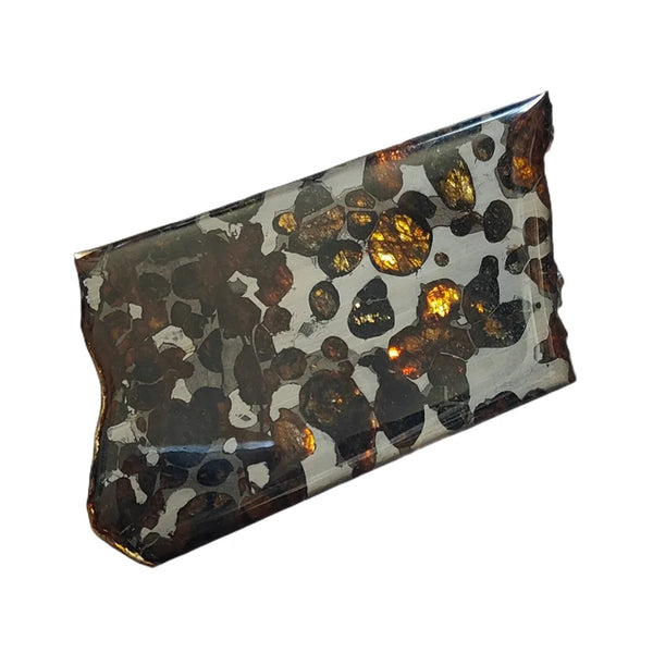 Olive Meteorite Slice-ToShay.org