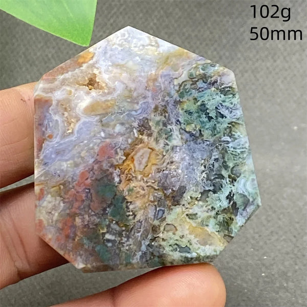 Green Water Plant Agate-ToShay.org