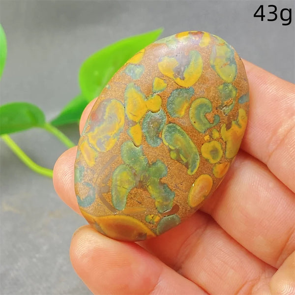 Green Rainforest Palm Stone-ToShay.org