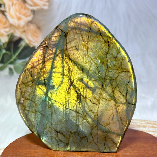 Gold Light Labradorite-ToShay.org