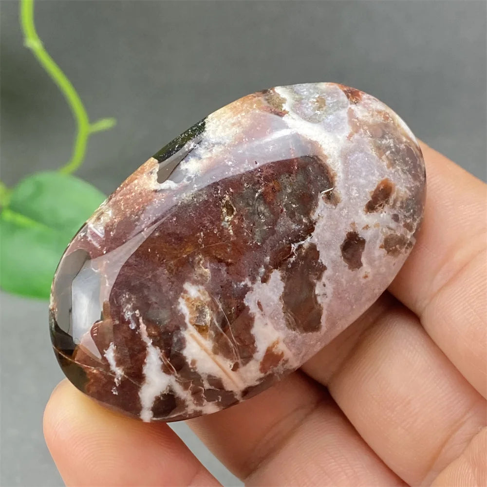 Red Lace Crazy Agate-ToShay.org