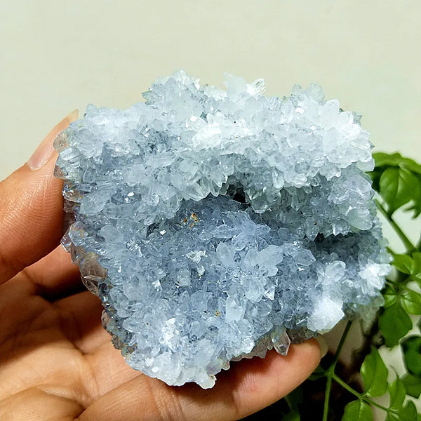 Purple Chrysanthemum Fluorite Crystal-ToShay.org