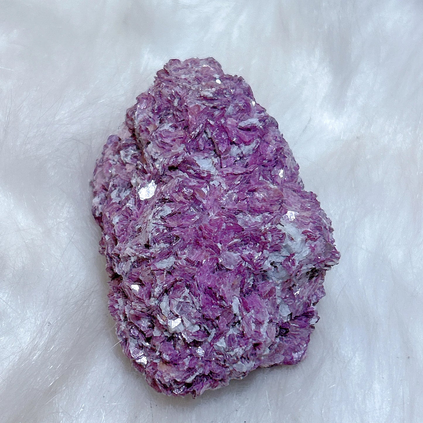 Purple Lepidolite Raw Stone-ToShay.org