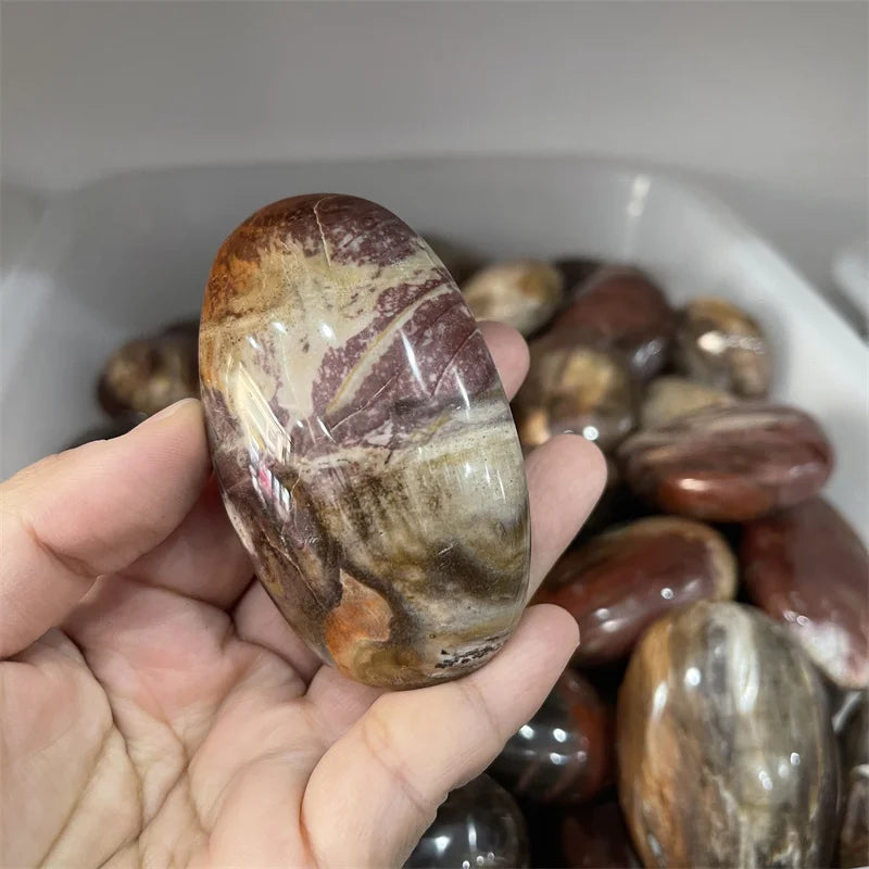 Petrified Wood Palm Stones-ToShay.org