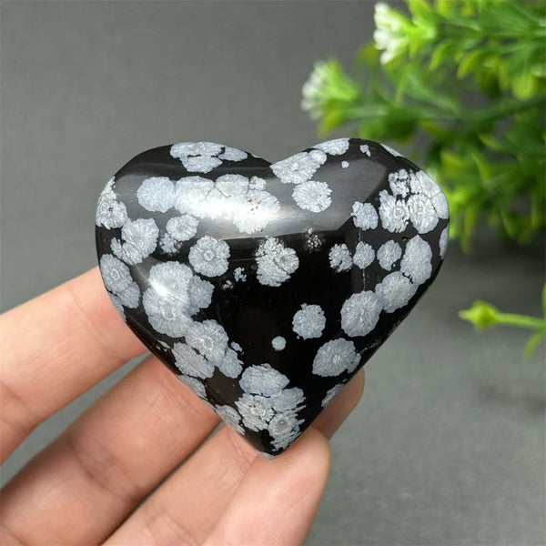 Black Snowflake Obsidian Heart-ToShay.org
