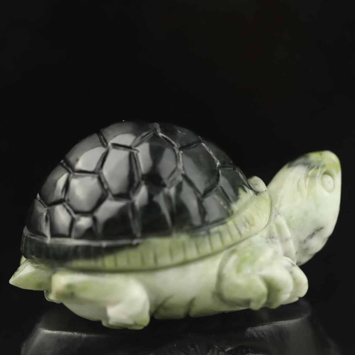 Green Jade Turtle-ToShay.org