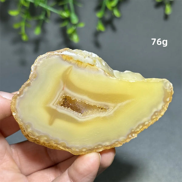 Yellow Agate Slice-ToShay.org