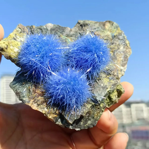 Blue Zeolite Azurite Clusters-ToShay.org