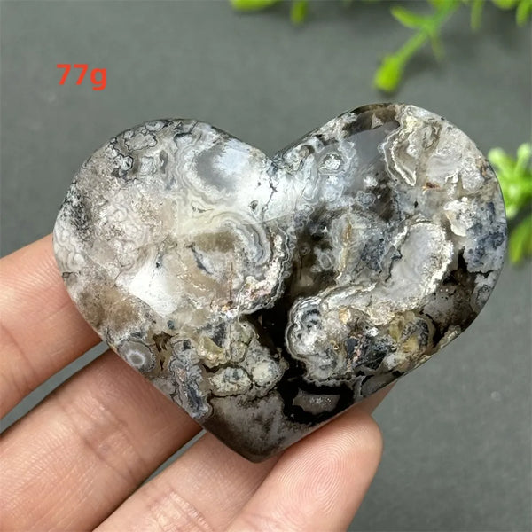 Black Cherry Blossom Agate-ToShay.org