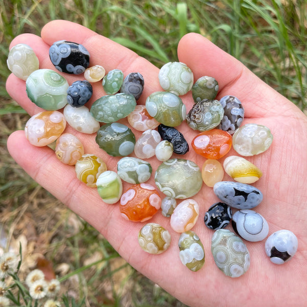 Green Sardonyx Alxa Gobi Agate-ToShay.org