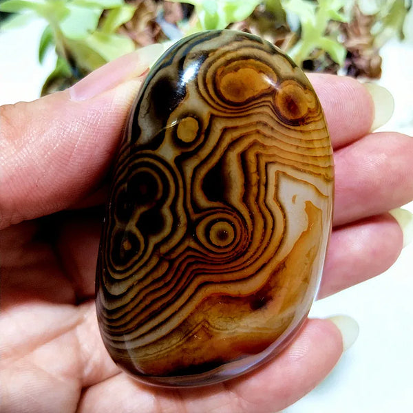 Red Lace Sardonyx Agate-ToShay.org