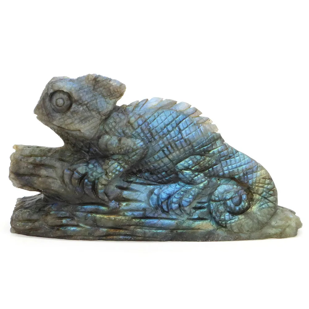 Blue Labradorite Chameleon-ToShay.org