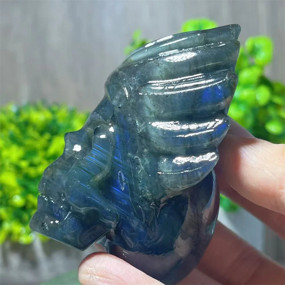 Blue Labradorite Feather Skull-ToShay.org