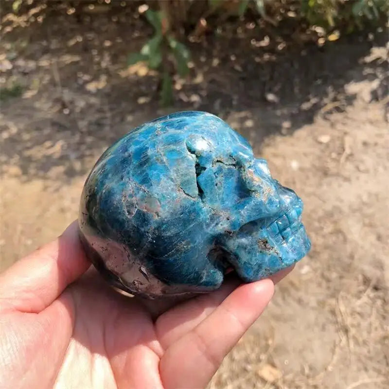 Blue Apatite Skull-ToShay.org