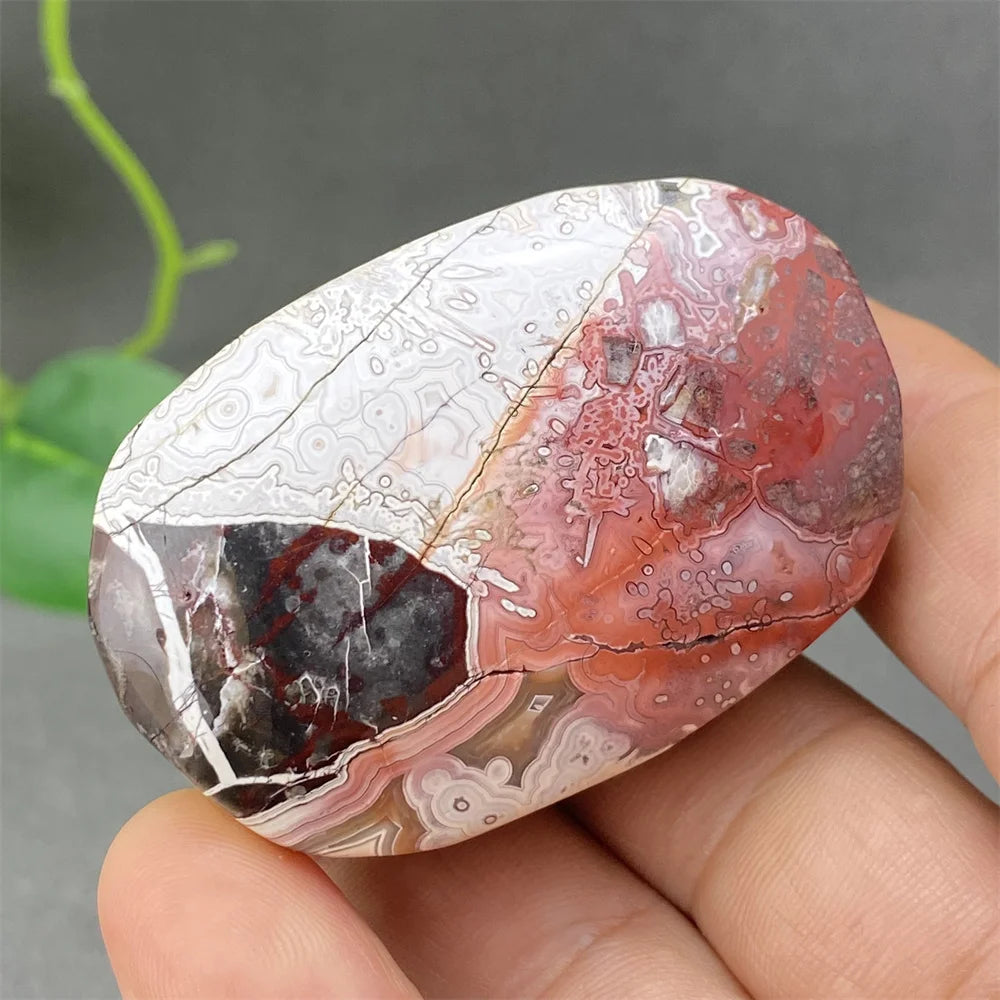 Red Lace Crazy Agate-ToShay.org