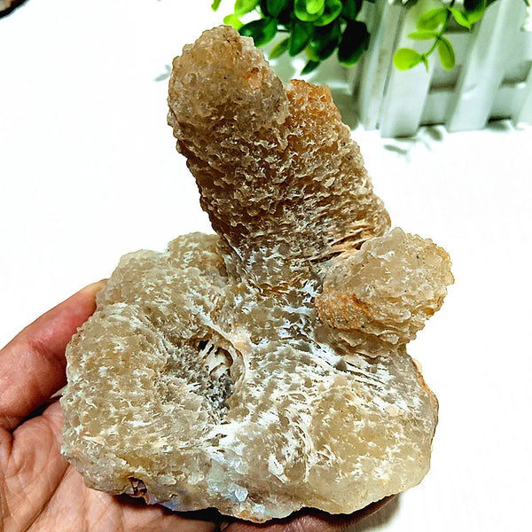 Yellow Agate Finger Crystal Cluster-ToShay.org