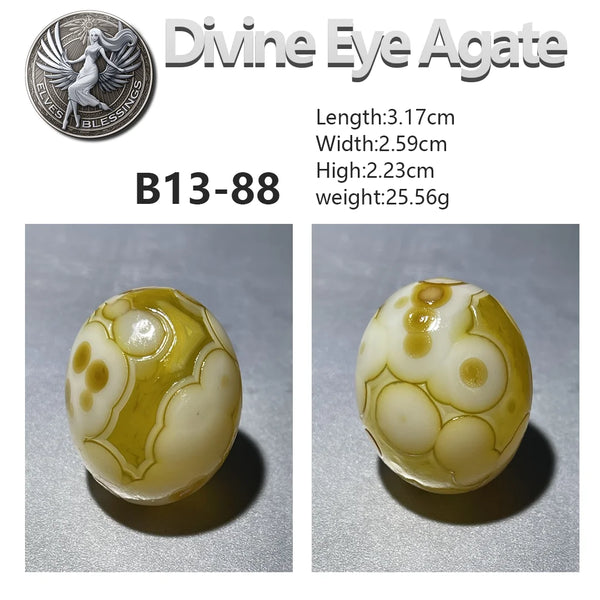 Green Gobi Flower Eye Agate-ToShay.org