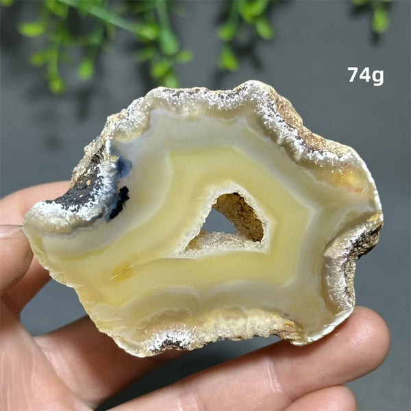 Yellow Agate Slice-ToShay.org