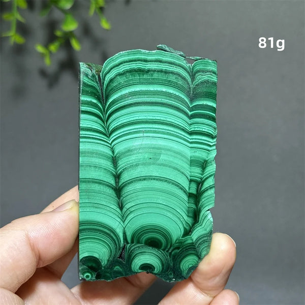 Green Malachite Slice-ToShay.org