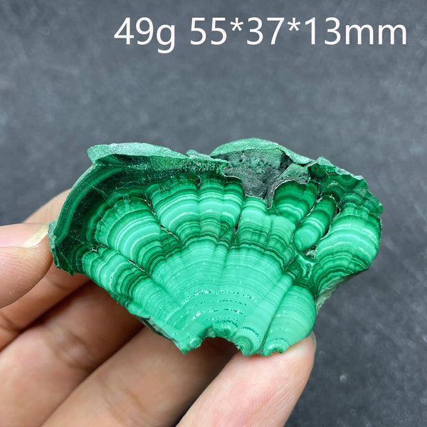 Green Malachite Slice-ToShay.org