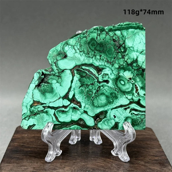 Green Malachite Raw Slice-ToShay.org