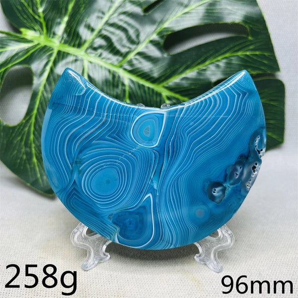 Blue Lace Geode Agate-ToShay.org