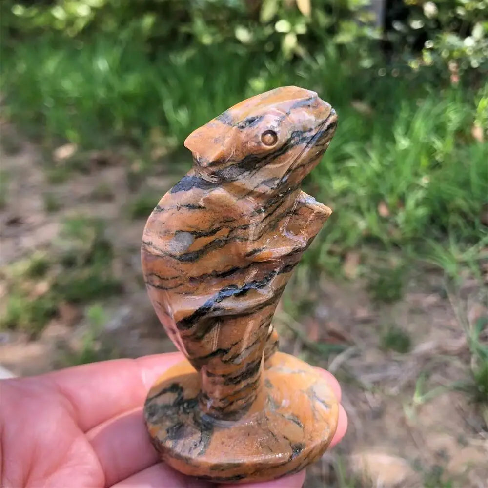 Mixed Jasper Lizard-ToShay.org
