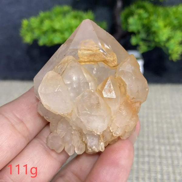 White Quartz Crystal Cluster-ToShay.org