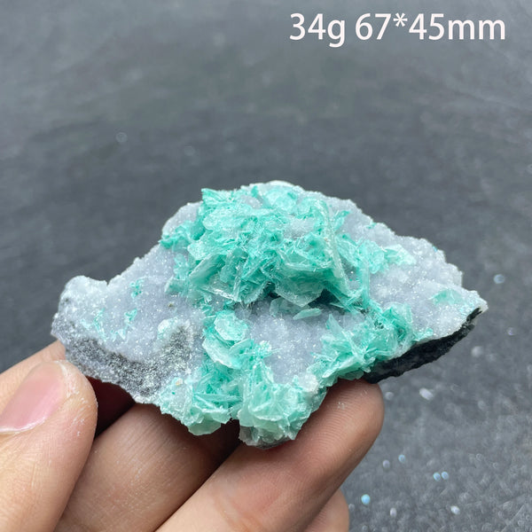 Blue Antlerite Quartz Crystal-ToShay.org