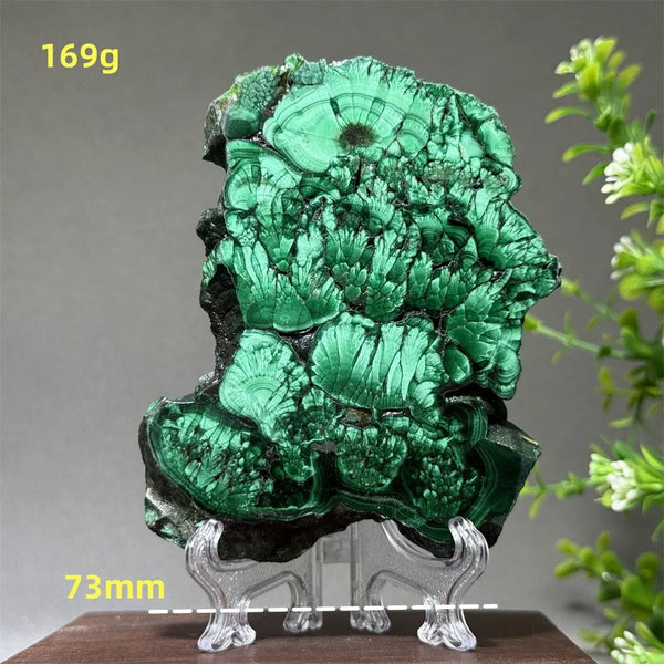 Green Malachite Slice-ToShay.org