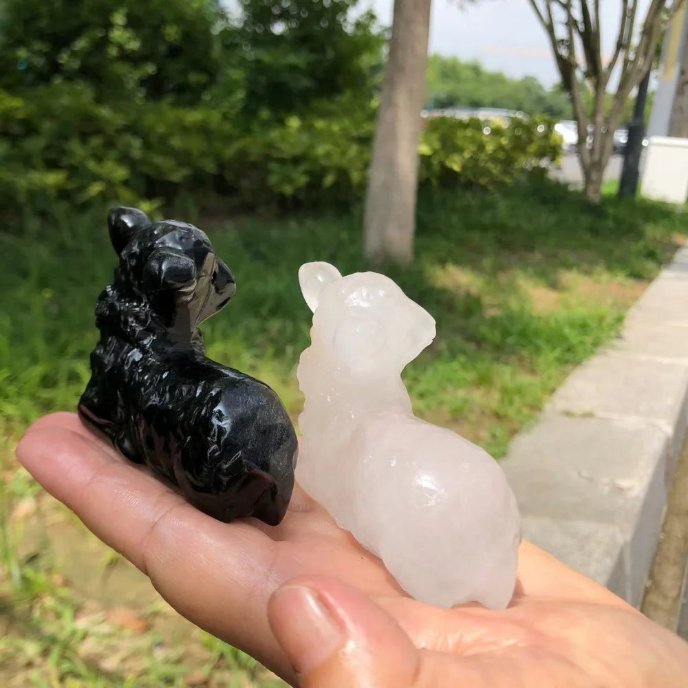 Mixed Crystal Lambs-ToShay.org