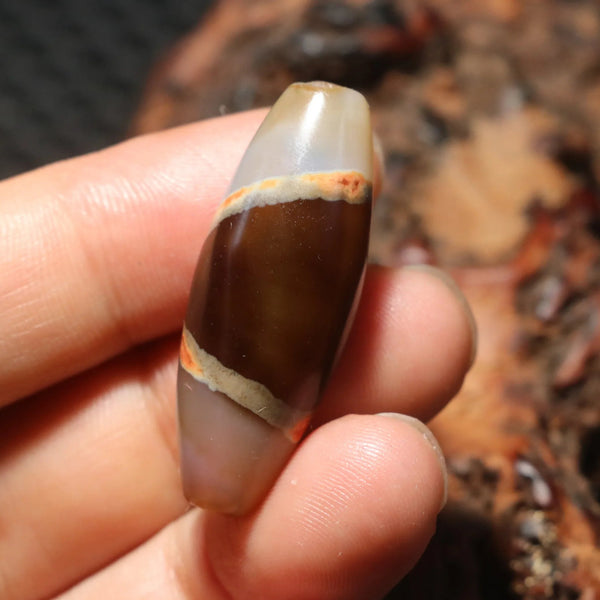 Tibetan Agate Eyes Dzi-ToShay.org
