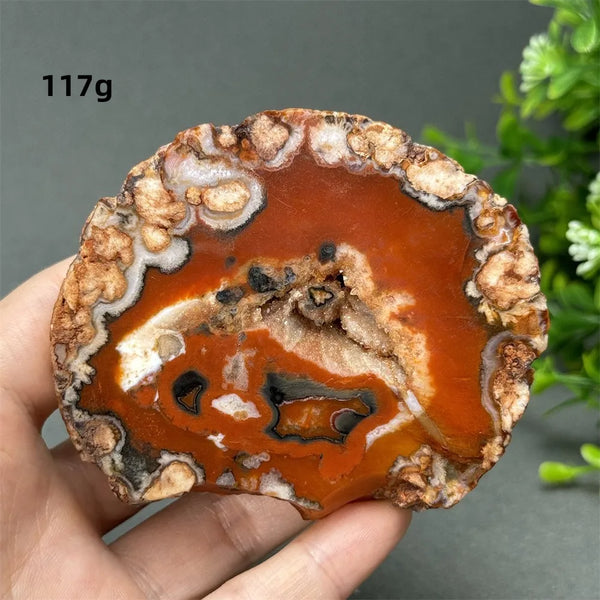 Red Cherry Blossom Agate-ToShay.org