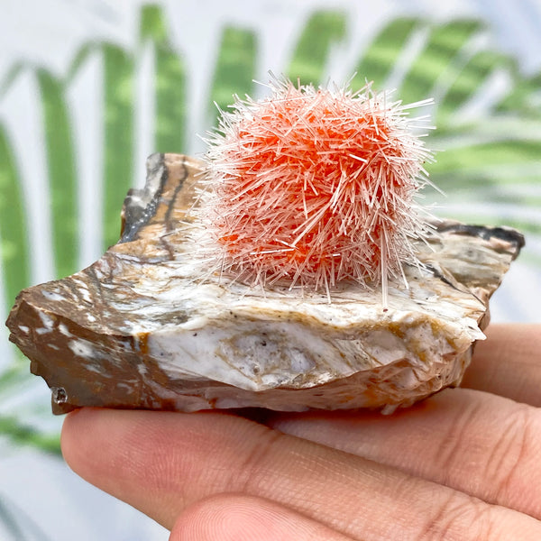 Orange Zeolite Mineral Cluster-ToShay.org