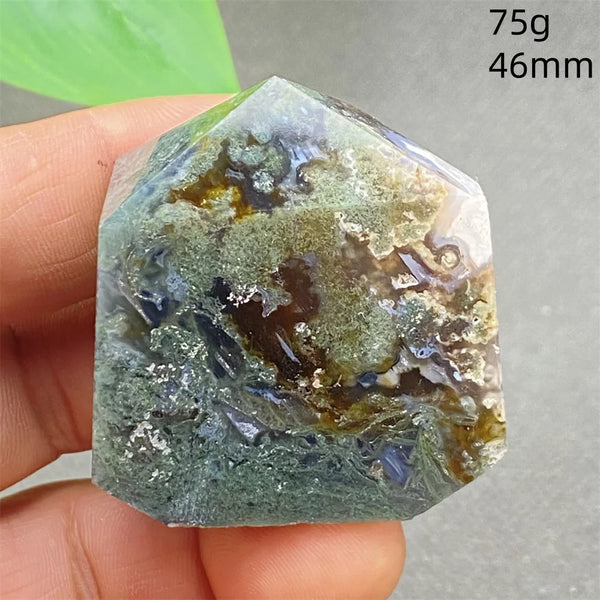 Green Water Plant Agate-ToShay.org