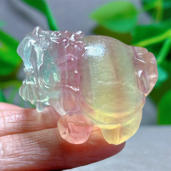 Rainbow Fluorite Dragon Turtle-ToShay.org