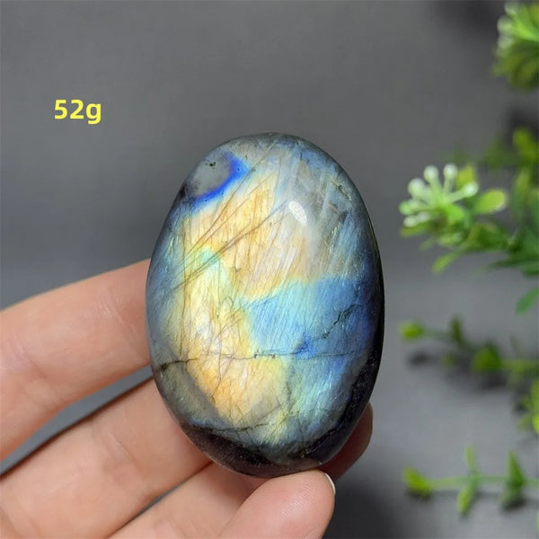 Blue Labrador Palm Stone-ToShay.org