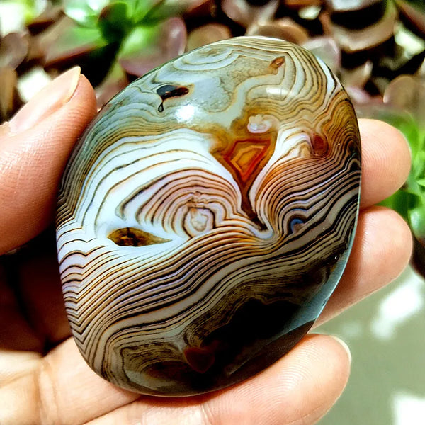 Red Flower Agate Palm Stone-ToShay.org