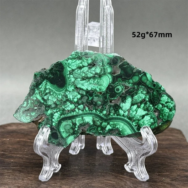 Green Malachite Raw Slice-ToShay.org