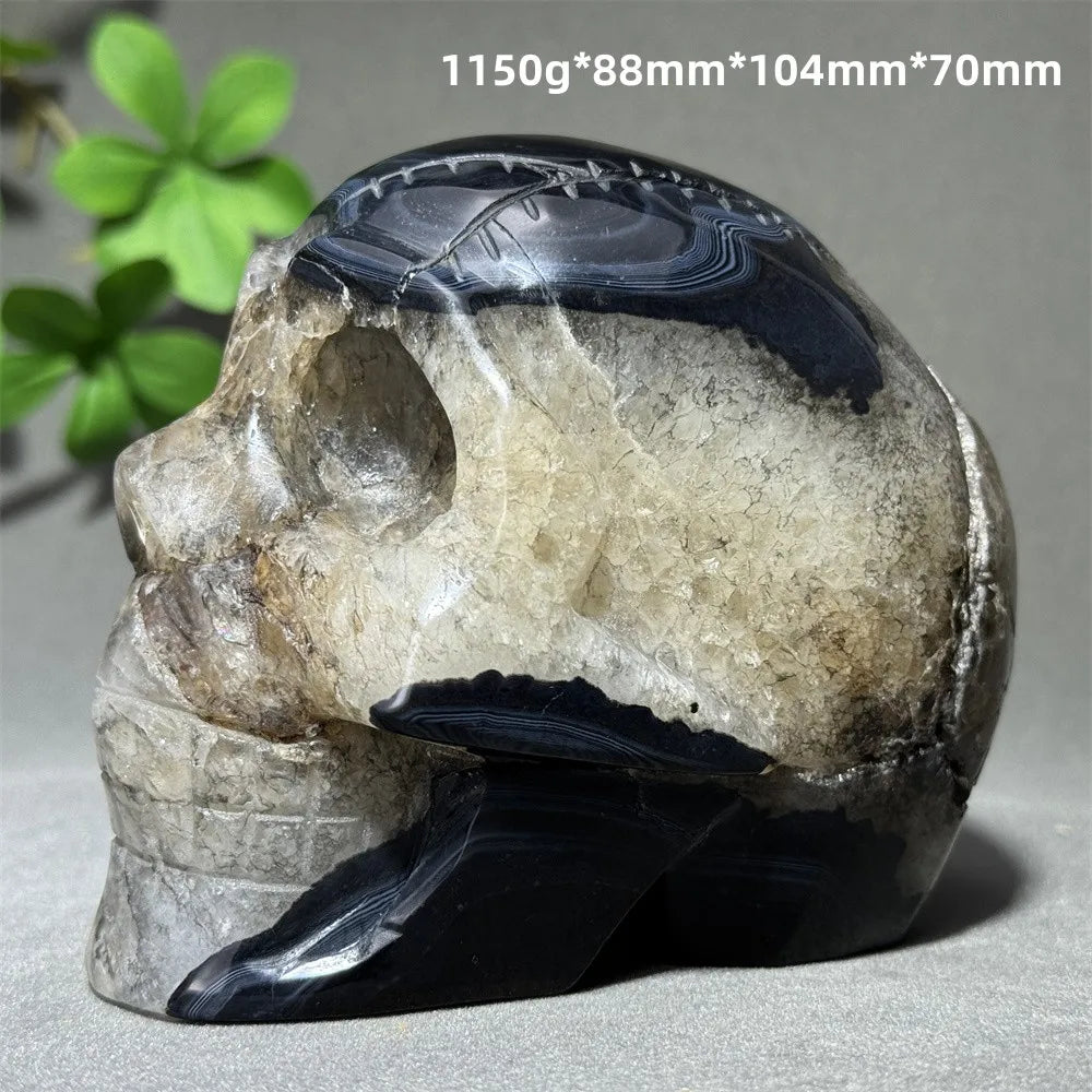 Black Agate Skull-ToShay.org