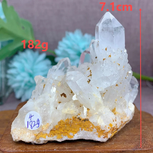 Clear Pineapple Quartz Cluster-ToShay.org