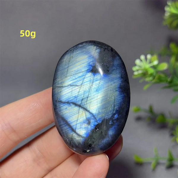 Blue Labrador Palm Stone-ToShay.org