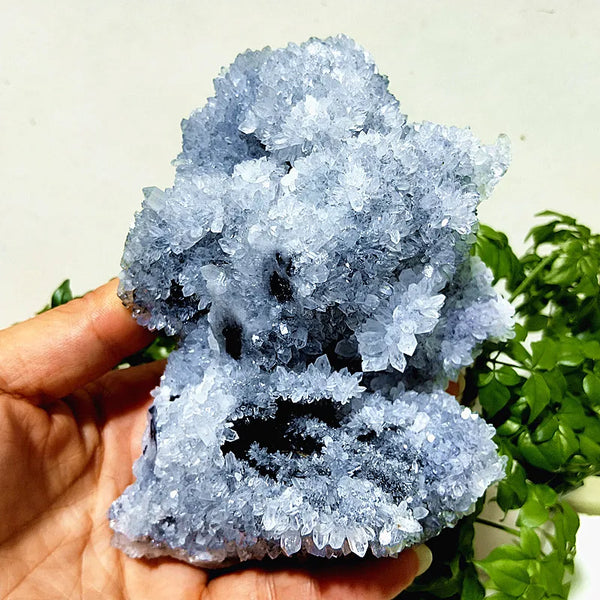 Purple Chrysanthemum Fluorite Crystal-ToShay.org