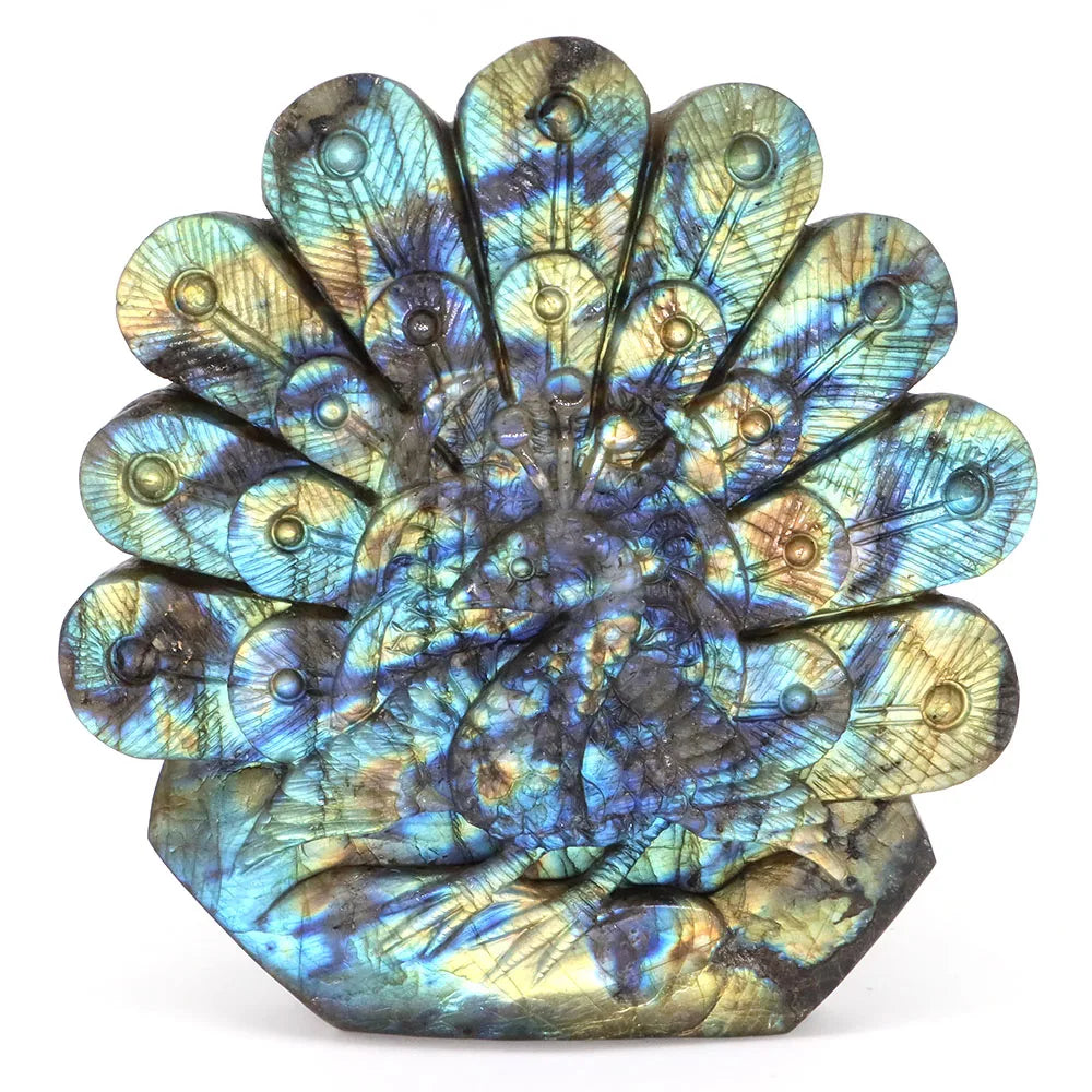 Blue Labradorite Peacock-ToShay.org