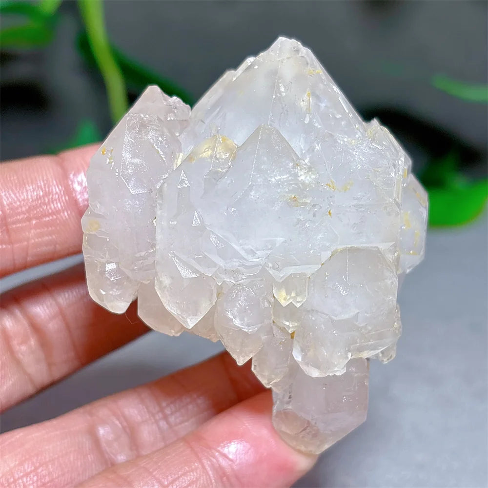 Clear Lotus Backbone Quartz Cluster-ToShay.org