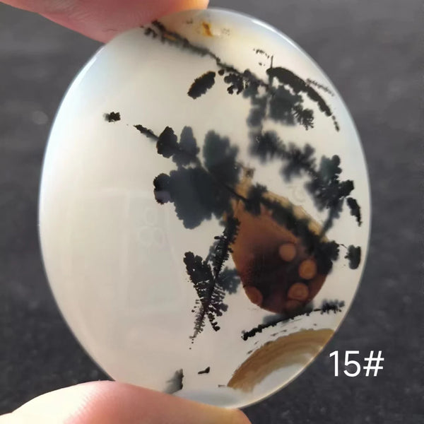 White Onyx Ocean Chalcedony-ToShay.org