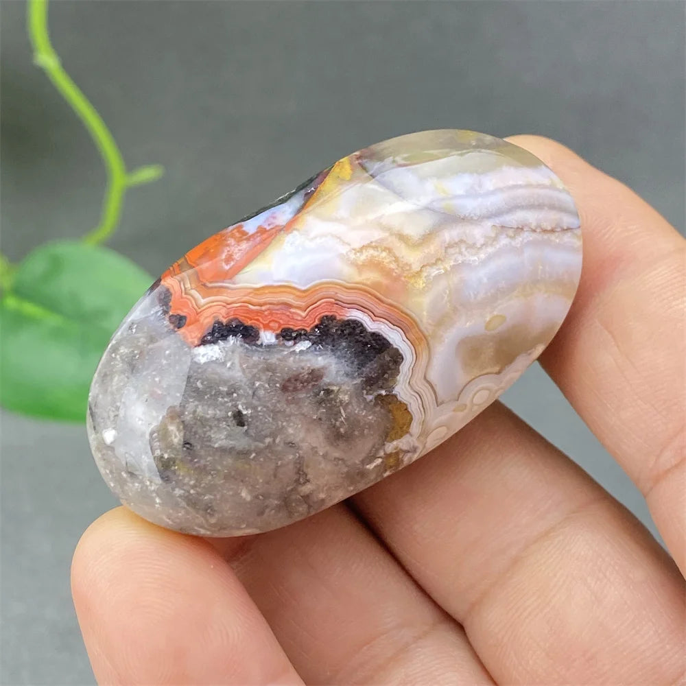 Red Lace Crazy Agate-ToShay.org