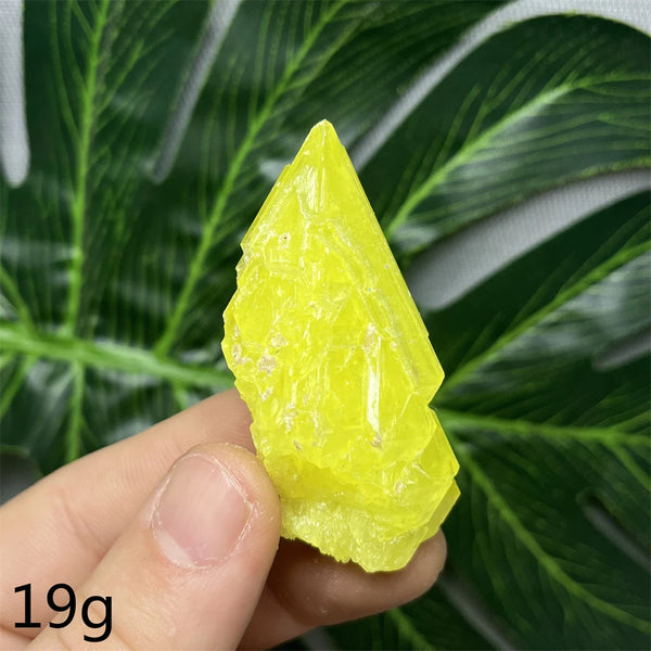 Yellow Sulfur Clusters-ToShay.org